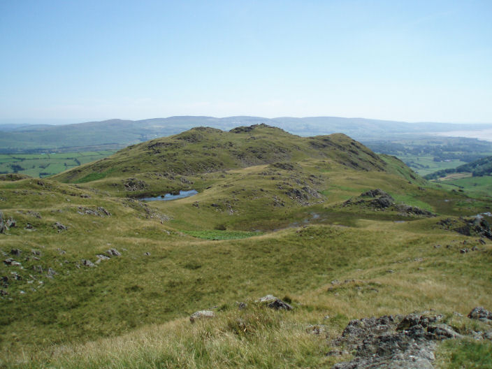 Great Stickle Great Stickle